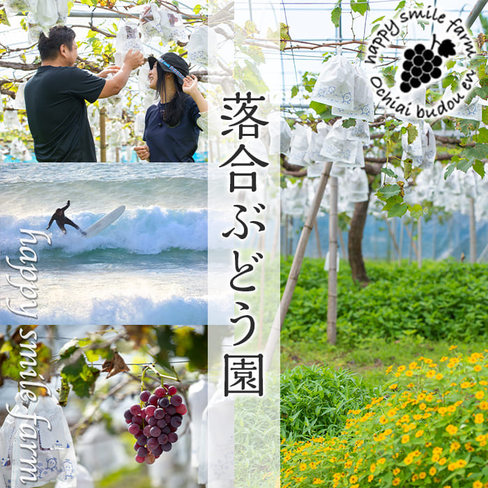 落合ぶどう園 [happy smile farm] 売店割引券（3,000円分）