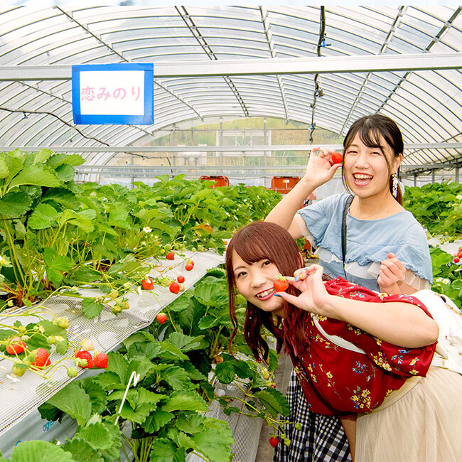農園ガーデン空 「コモレビ農園」季節のフルーツ収穫体験（3,000円分）