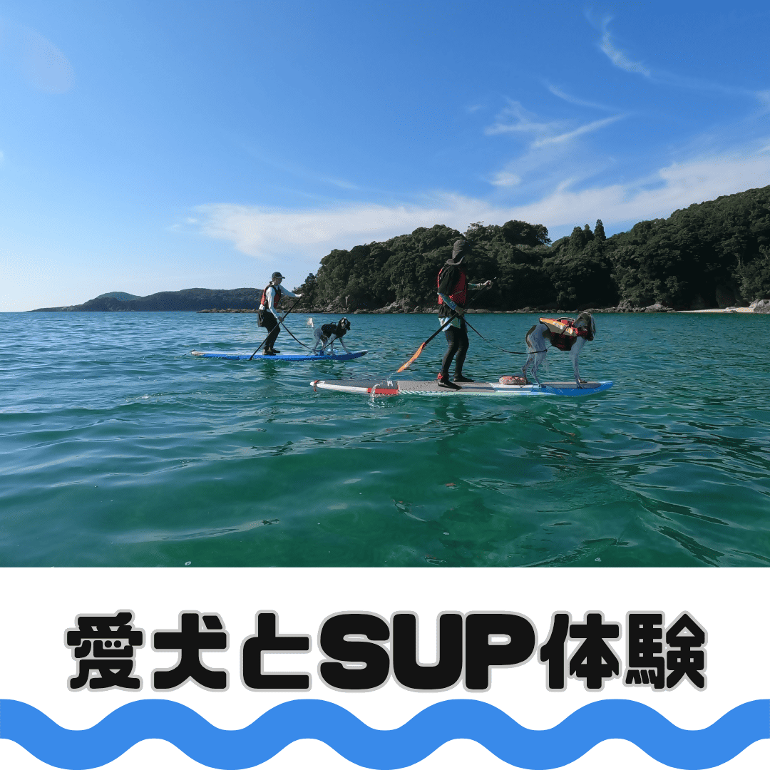 wagテイル アクティビティ体験割引券（1,500円分）
